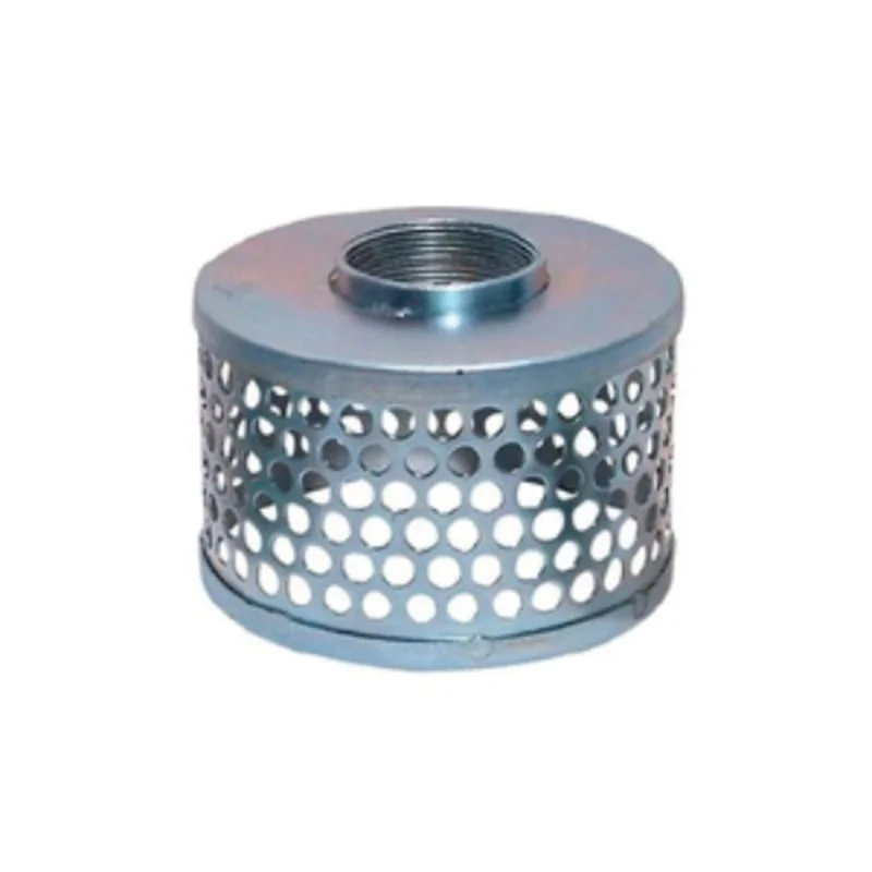 2-1/2 Inch FIP Round Perforation Hole Strainer Steel SR-250-SP