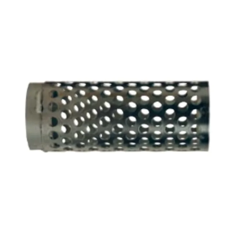 2 Inch Nominal FIP Round Long Thin Hole Strainer SL-200-SP