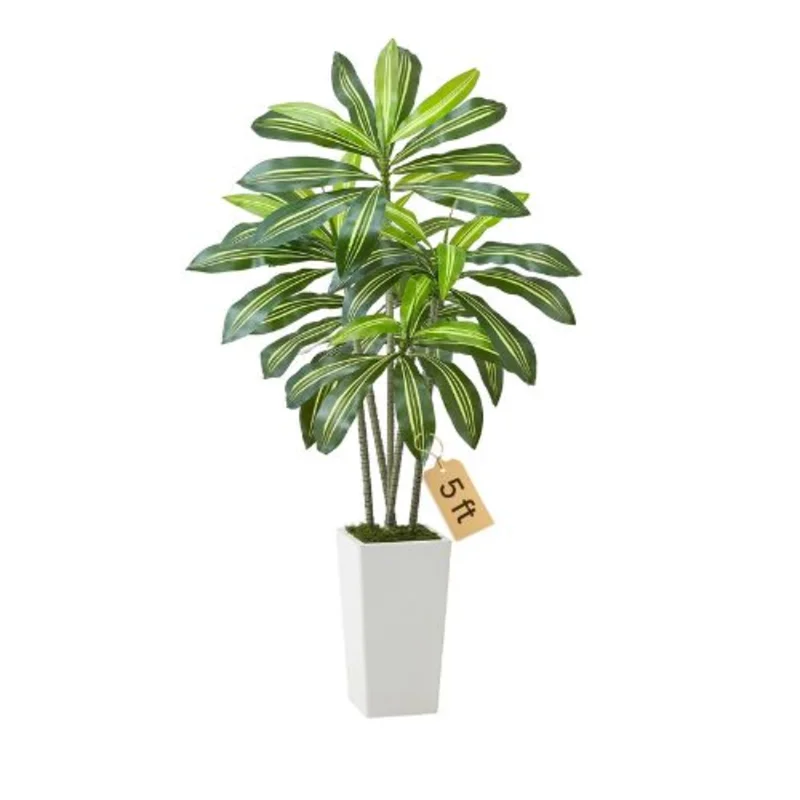 5 ft Artificial PalmTree Dracaena Tree for Home Office FH-BXT150
