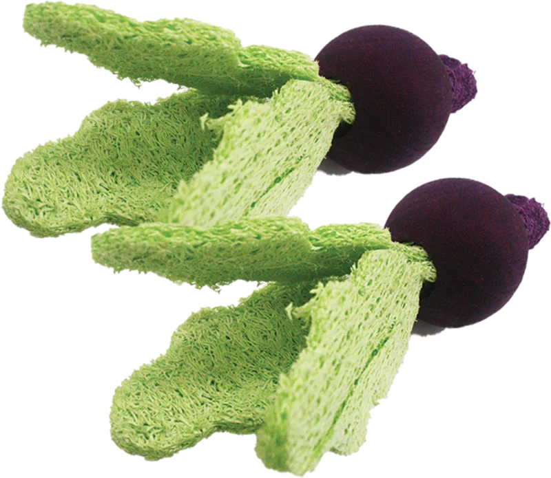 A&E Bird Cage Loofah Turnips Toy for Small Animal
