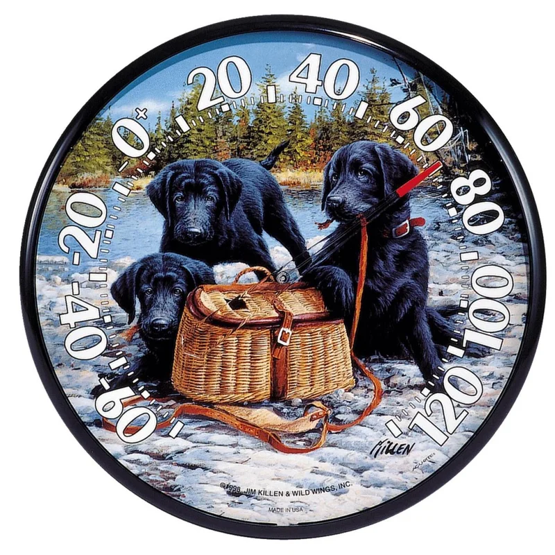Acurite 12-1/2" Fahrenheit -60 To 120 Outdoor Wall Thermometer
