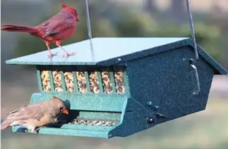 Audubon Original Birds Delight Squirrel-Resistant Feeder