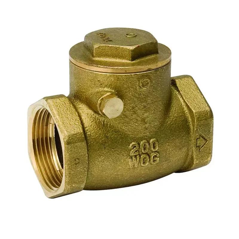 B & K Industries Swing Check Valve 1/2