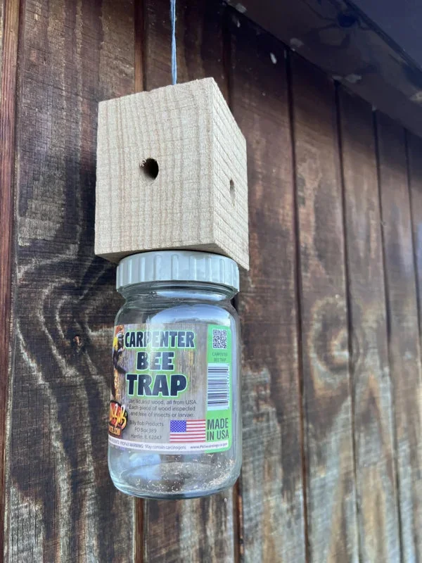 Billy Bob Billy Bob Carpenter Bee Trap  Hanging Outdoor Trap