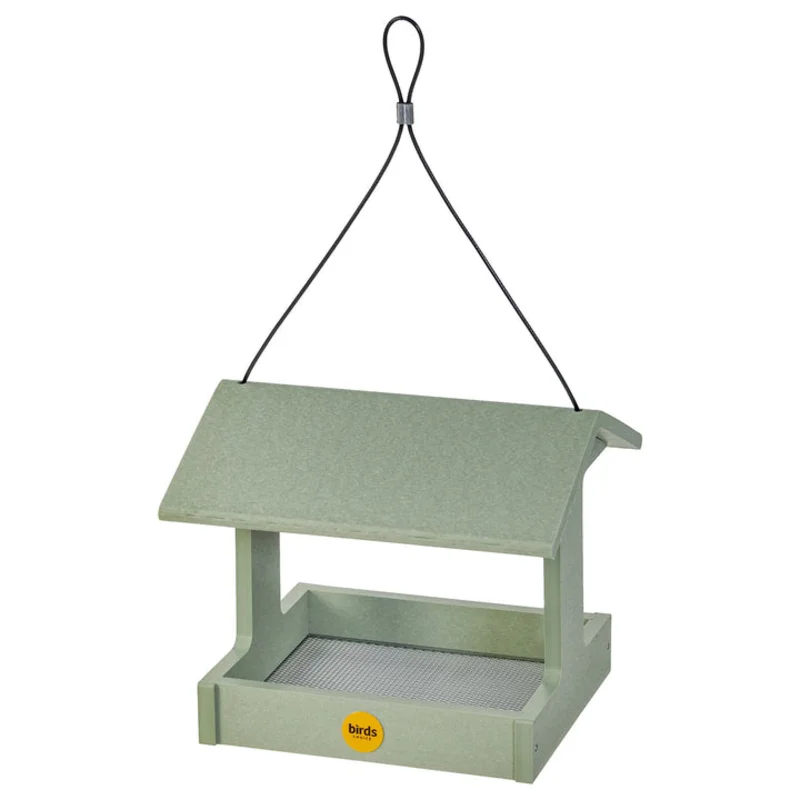 Bird's Choice Recycled Plastic Fly-Thru Feeder in Sage Green Sage Green