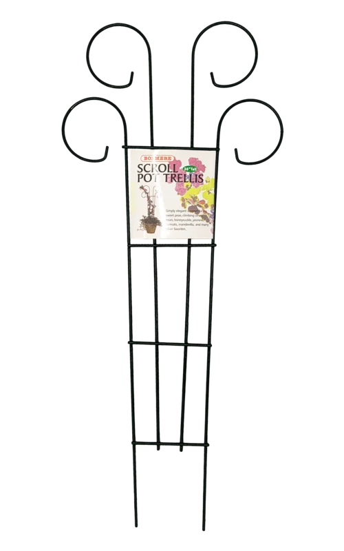 Bosmere Houseplant Trellis- 36" Scroll Pot Trellis