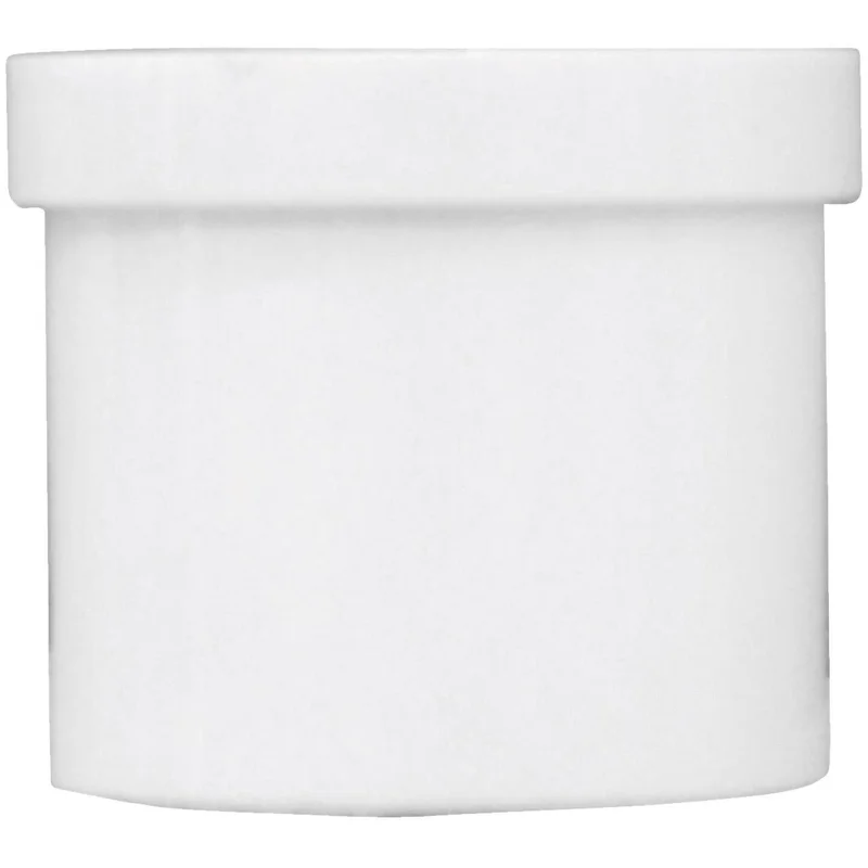 Charlotte Pipe Schedule 40 2 in. Spigot PVC Spigot Plug
