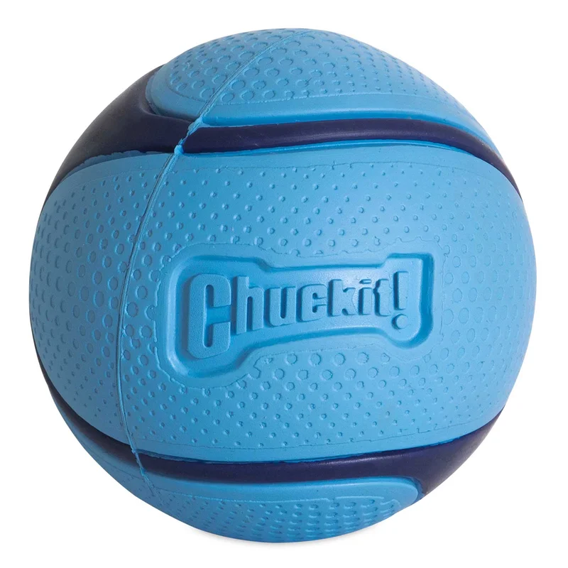 Chuckit! Bacon Sniff Fetch Ball Dog Toy