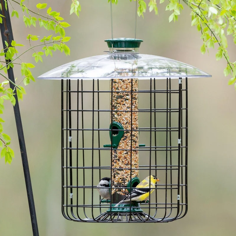 Classic Brands Droll Yankees New Generation Squirrel-Proof Caged Bird Feeder Green