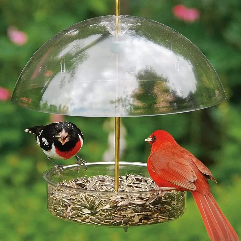 Classic Brands Droll Yankees Seed Saver Bird Feeder with Adjustable Dome