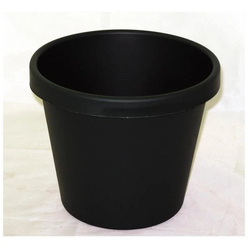 CLASSIC POT EVERGREEN