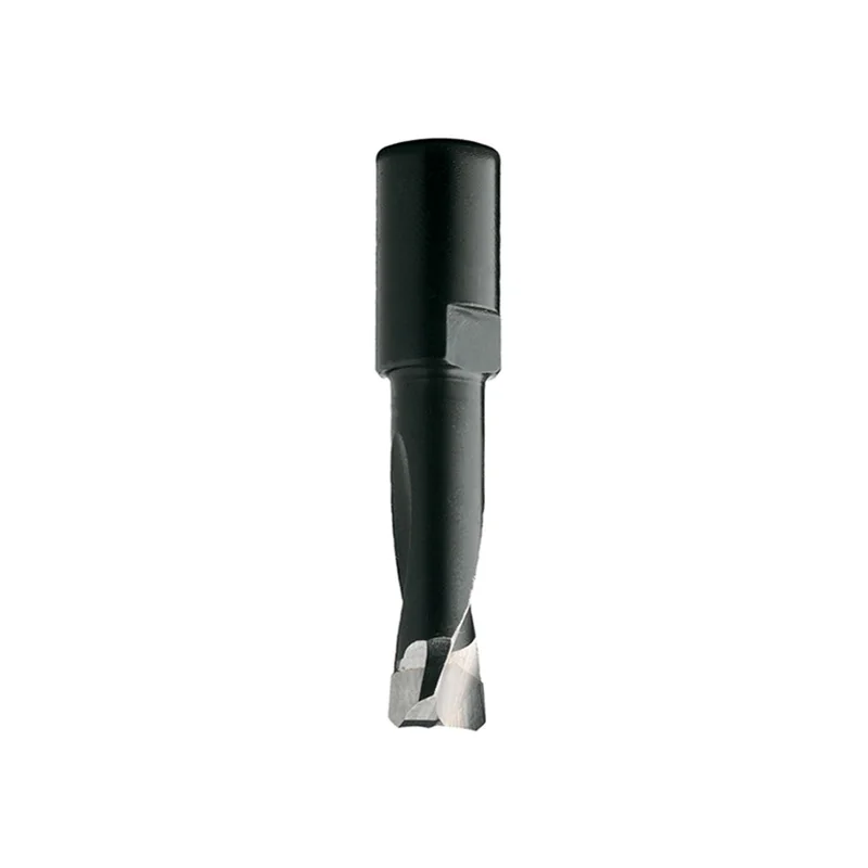 CMT 12mm Domino Cutter for Festool DF 700 Joiner