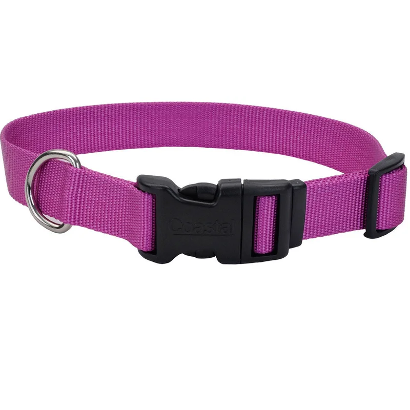 Coastal Adjustable Dog Collar with Plastic Buckle Neon Pink