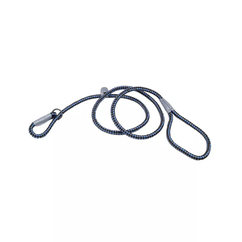 Coastal K9 Explorer Reflective Braided Rope Slip Dog Leash Sapphire