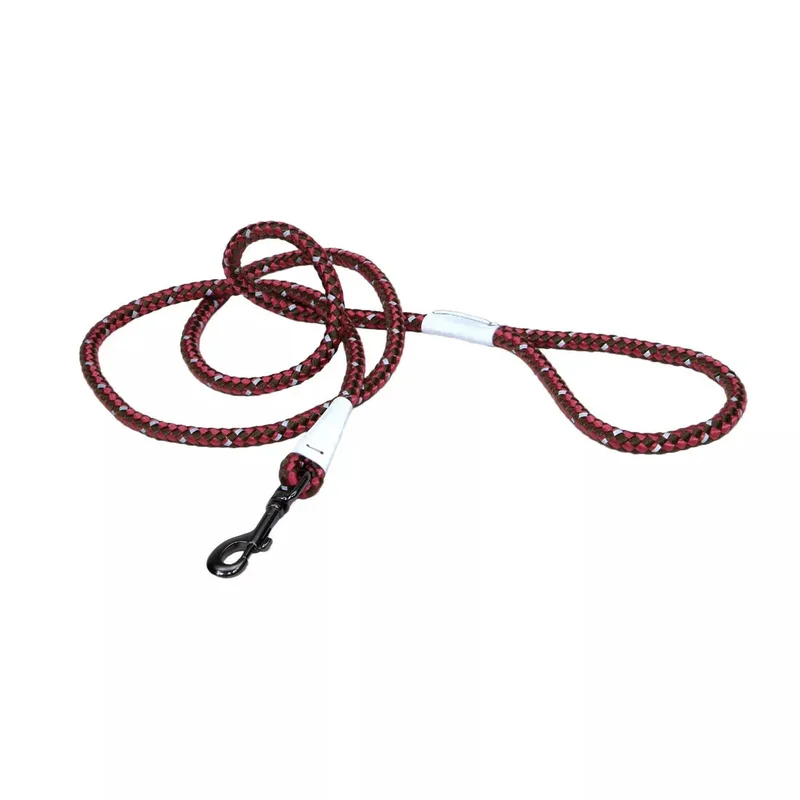 Coastal K9 Explorer Reflective Braided Rope Snap Dog Leash Berry
