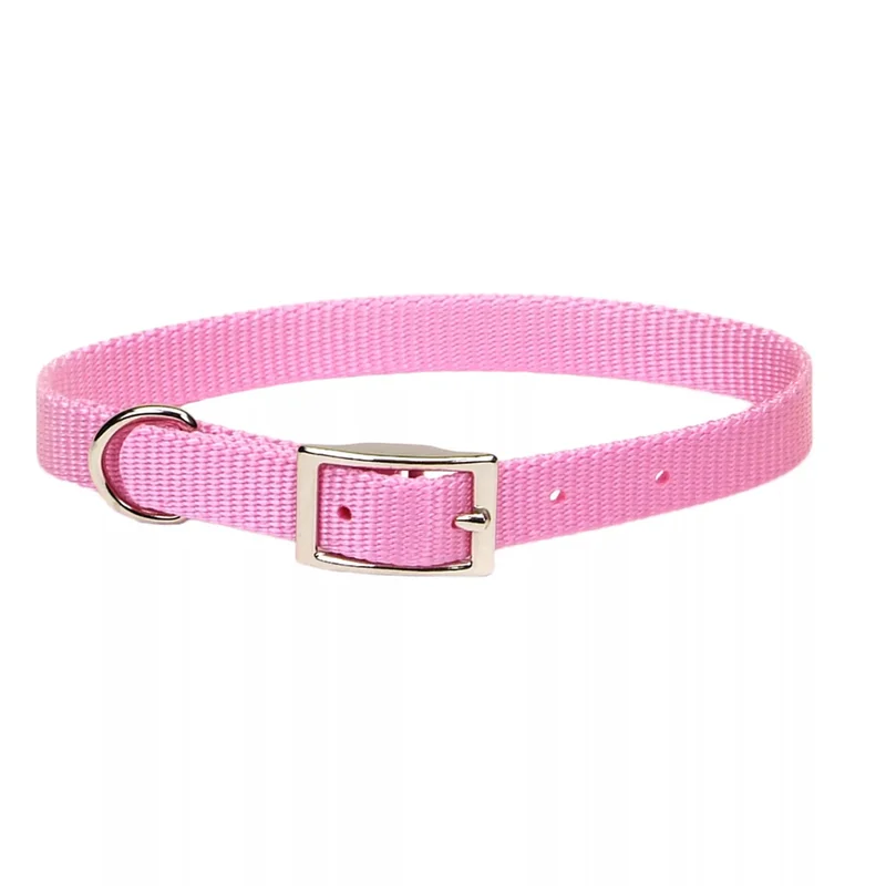 Coastal Pet Products Coastal Single-Ply Dog Collar Bright Pink 3/4" x 18" Bright Pink