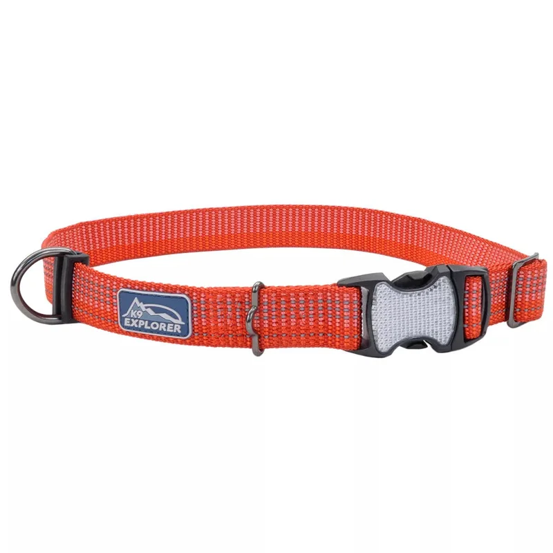 Coastal Pet Products K9 Explorer Brights Reflective Adjustable Dog Collar Lake
