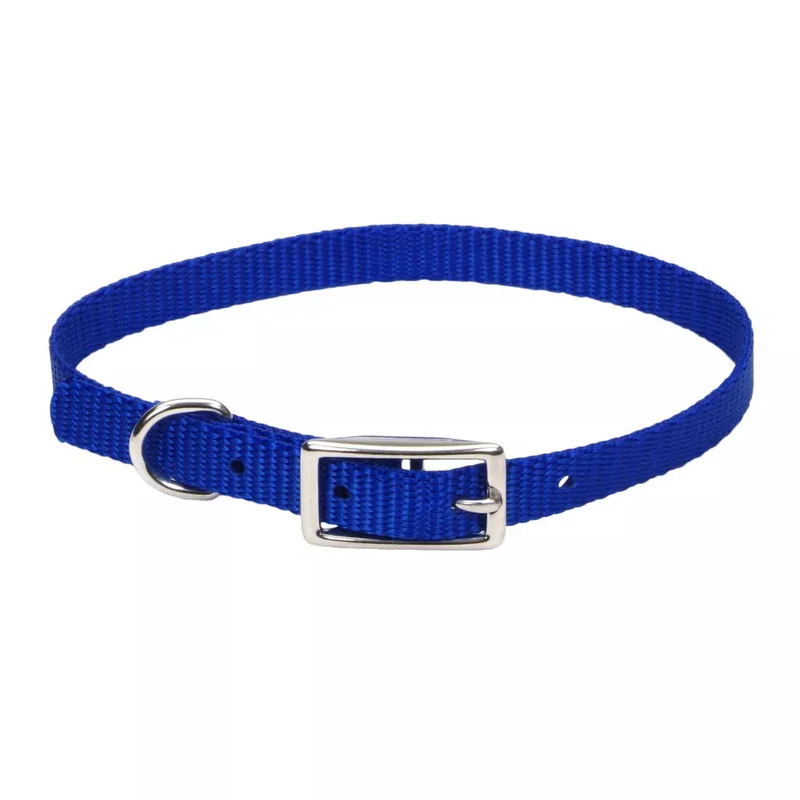 Coastal Pet Single-Ply Dog Collar Blue
