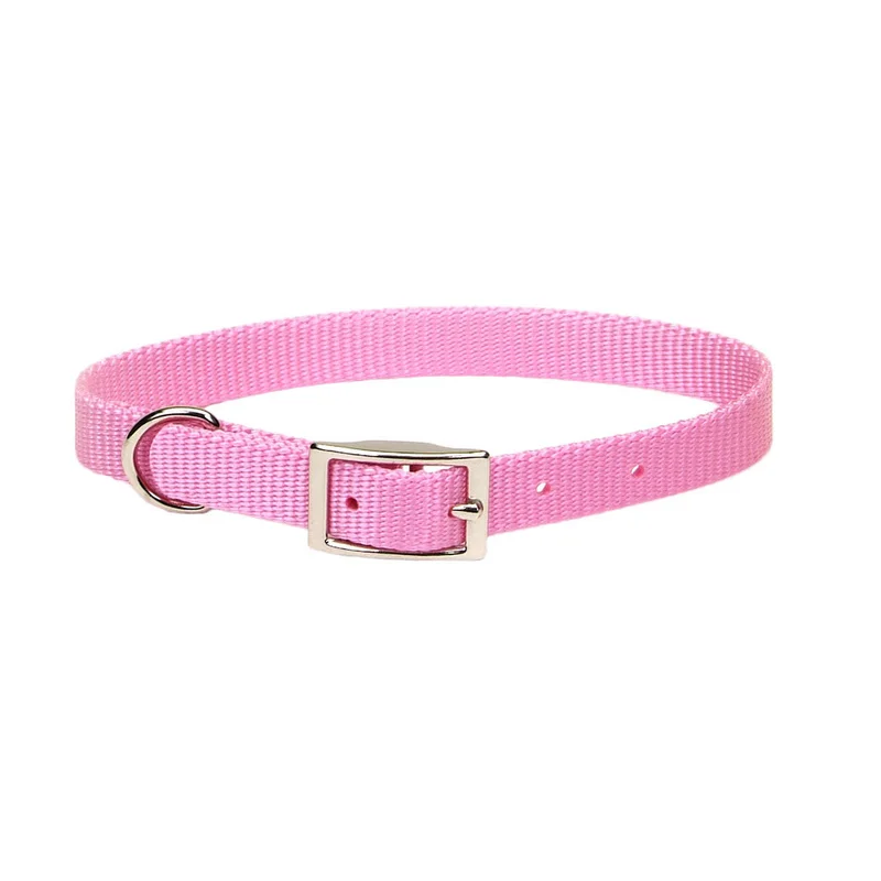 Coastal Single-Ply Dog Collar Bright Pink