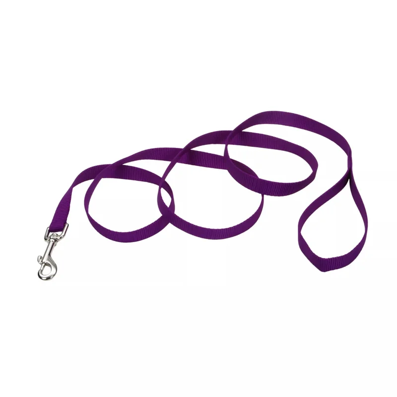 Coastal Single-Ply Dog Leash Blue Lagoon