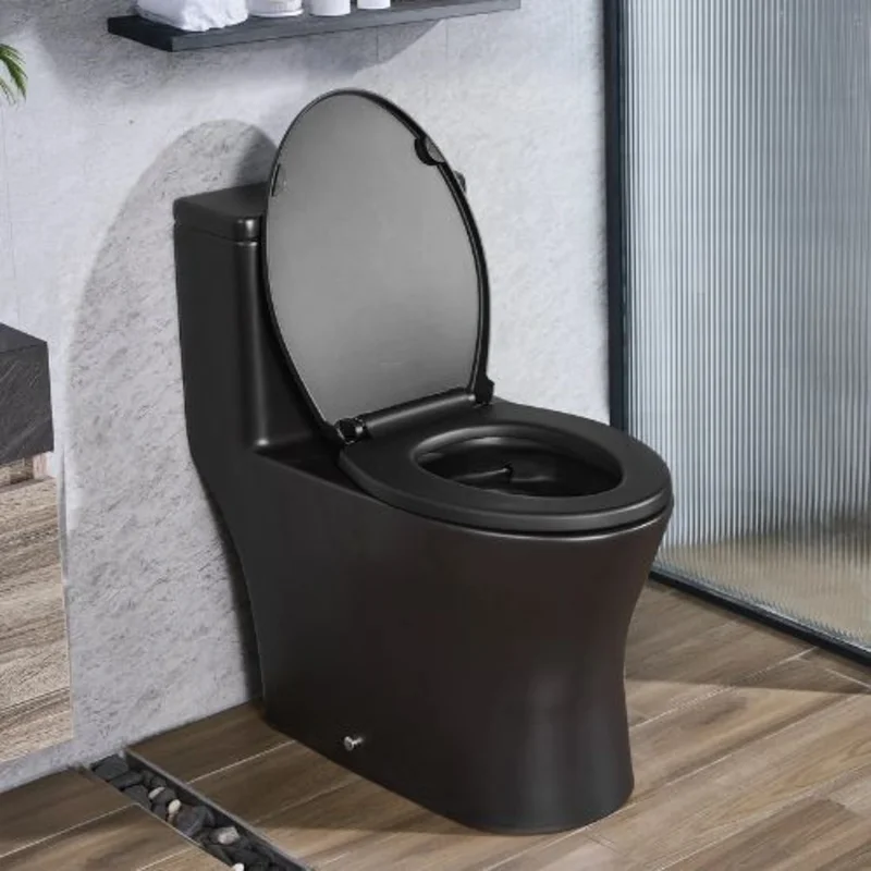 Elongated OnePiece DualFlush Toilet 12 RoughIn (Matte Black)