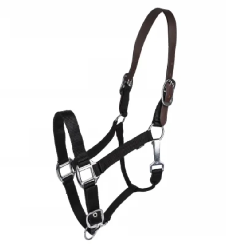 Gatsby Classic Nylon Breakaway Halter With Snap Blue