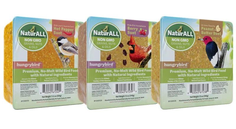 Hungrybird NaturALL Protein Filled Energy Cake