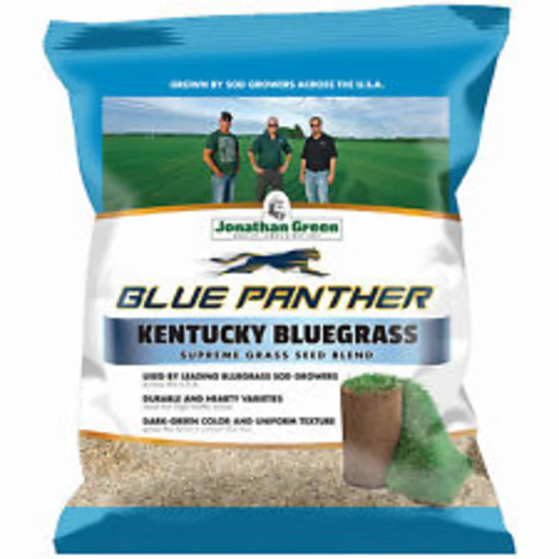 Jonathan Green Blue Panther Kentucky Bluegrass Grass Seed