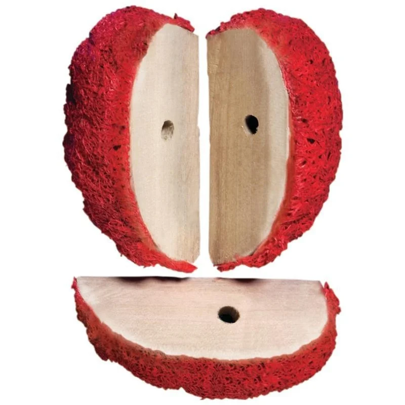 KAYTEE COMBO CHEWS APPLE SLICES RED