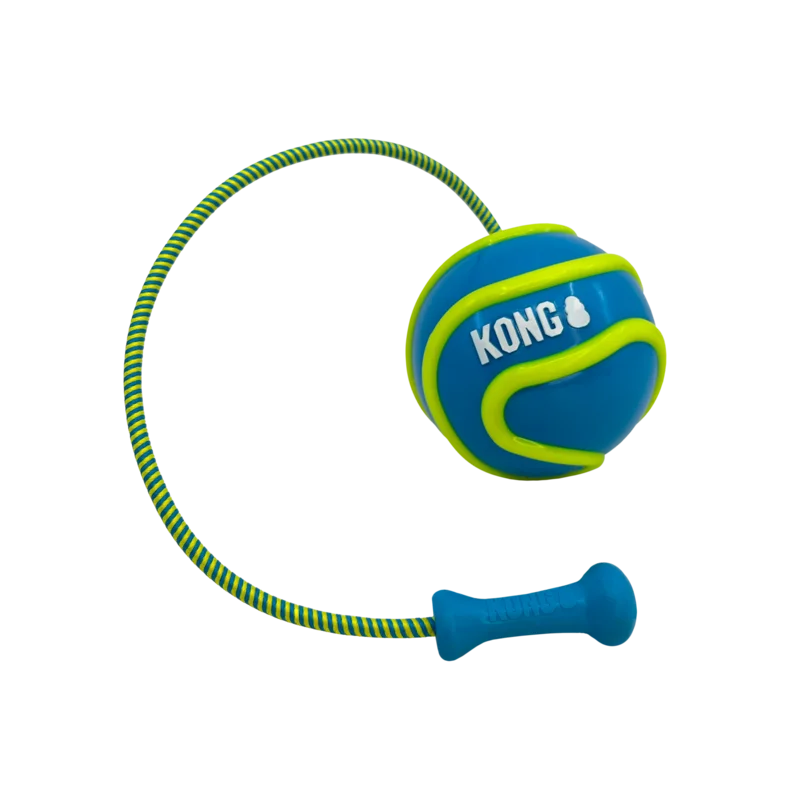 KONG Bunji High-Viz Ball Dog Toy