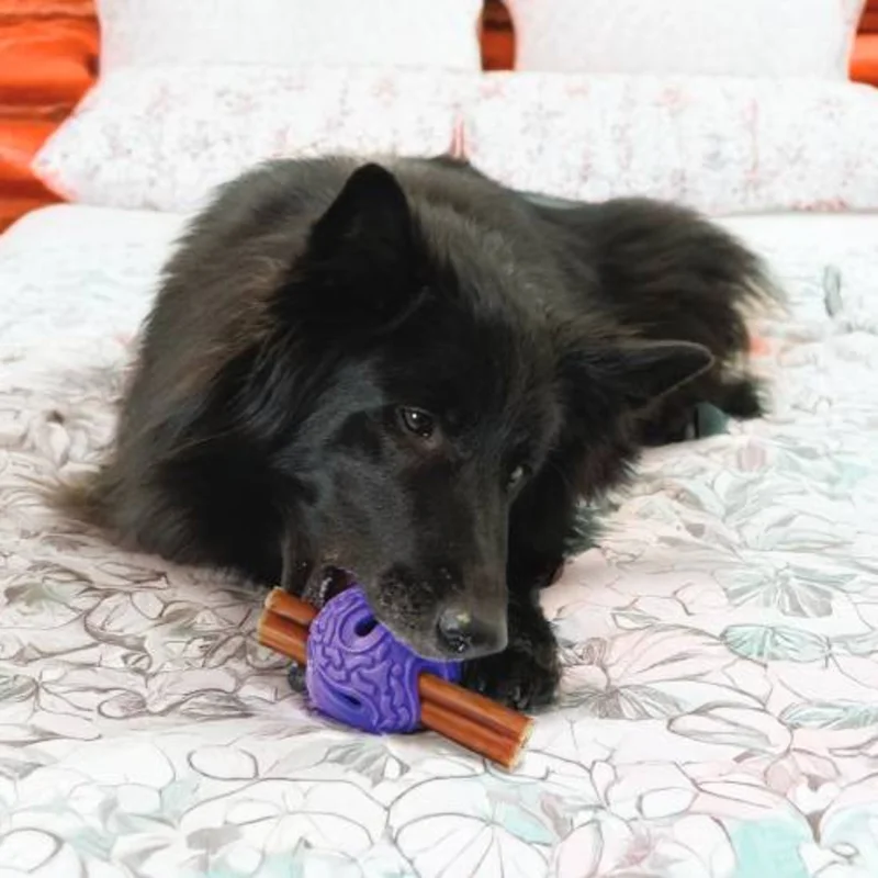 KONG Squeeze Flex Balls Dog Toy Purple