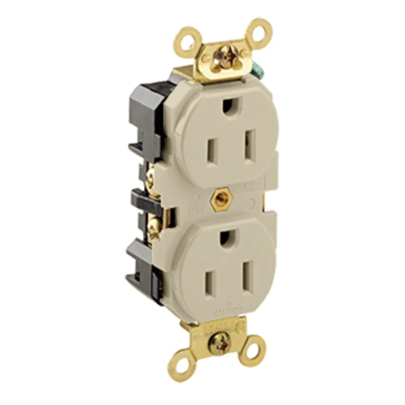 Leviton 15 Amp Duplex Receptacle/Outlet Self Grounding 5262-I