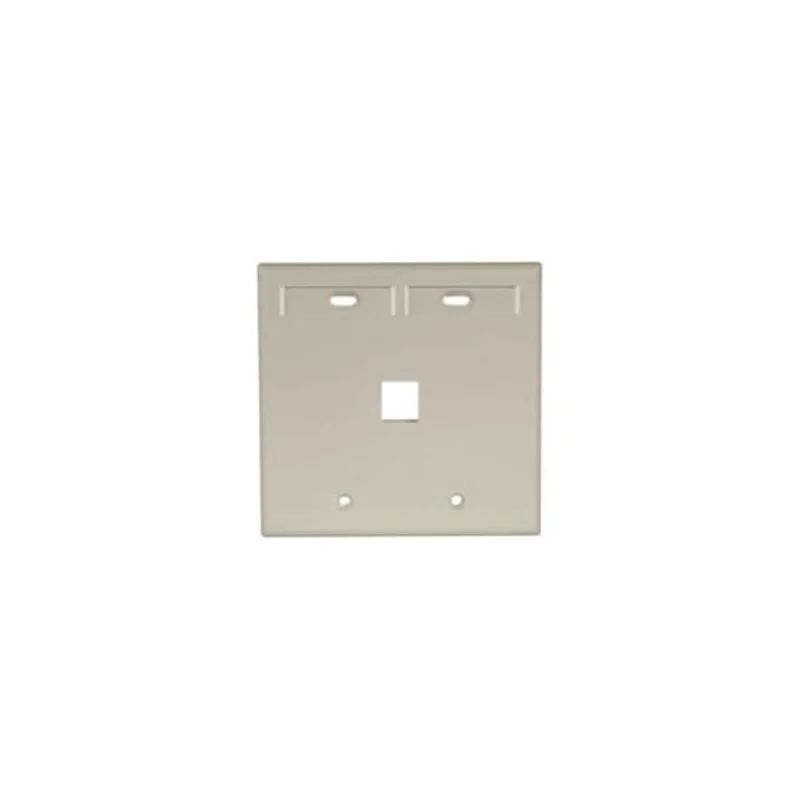 Leviton Dual-Gang QUICKPORT Wallplate Ivory 42080-1IP