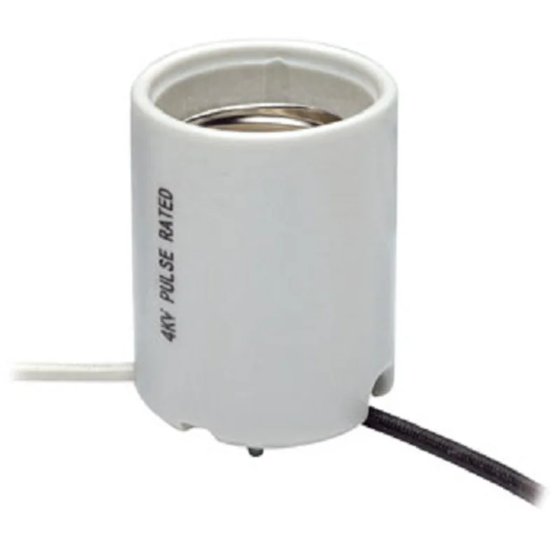 Leviton Mogul Base Single Circuit Porcelain Lampholder 8756