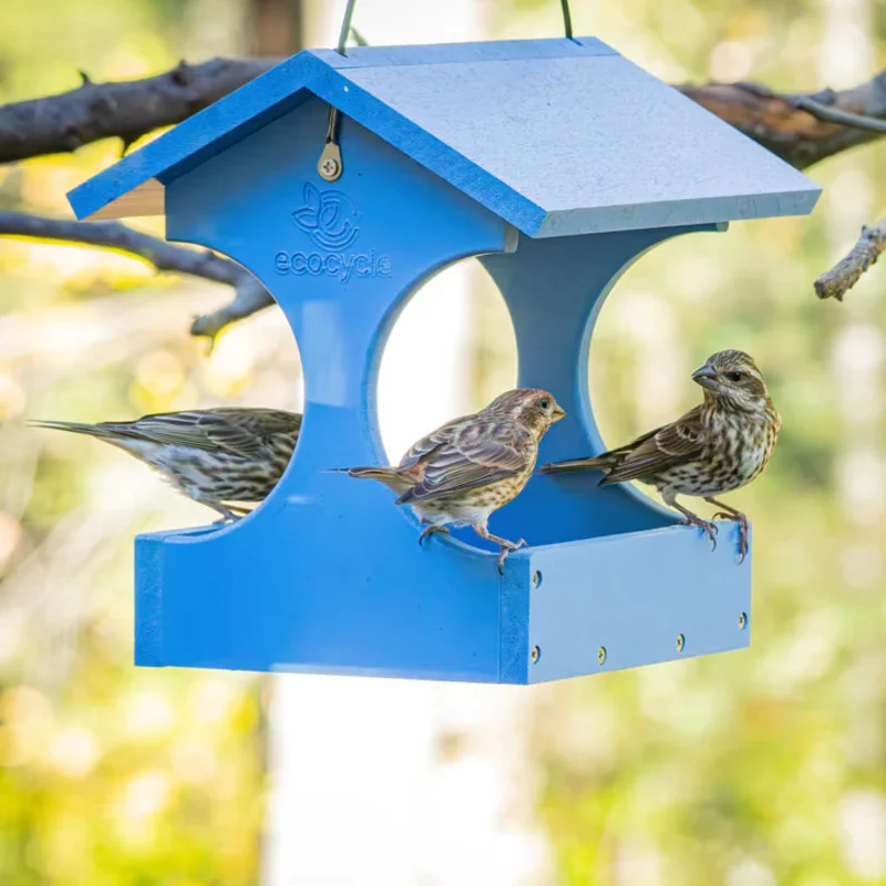 Nature's Way Bird Products EcoCycle Dine-n-Dash Recycled Plastic Bird Feeder Blue