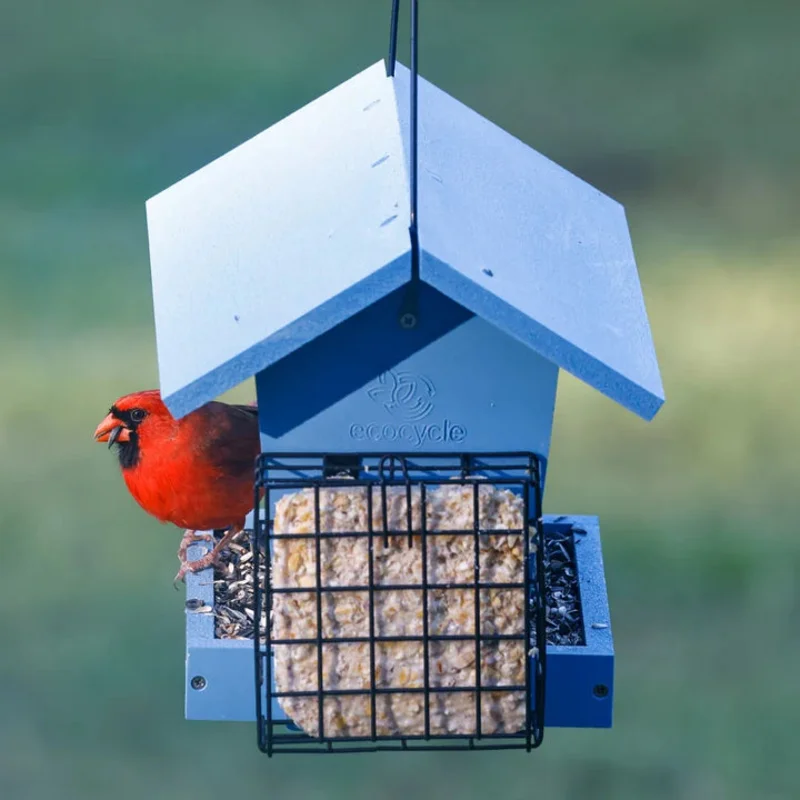 Nature's Way EcoCycle Hopper Hangout Recycled Plastic Hopper Bird Feeder w/ Suet Cages Blue