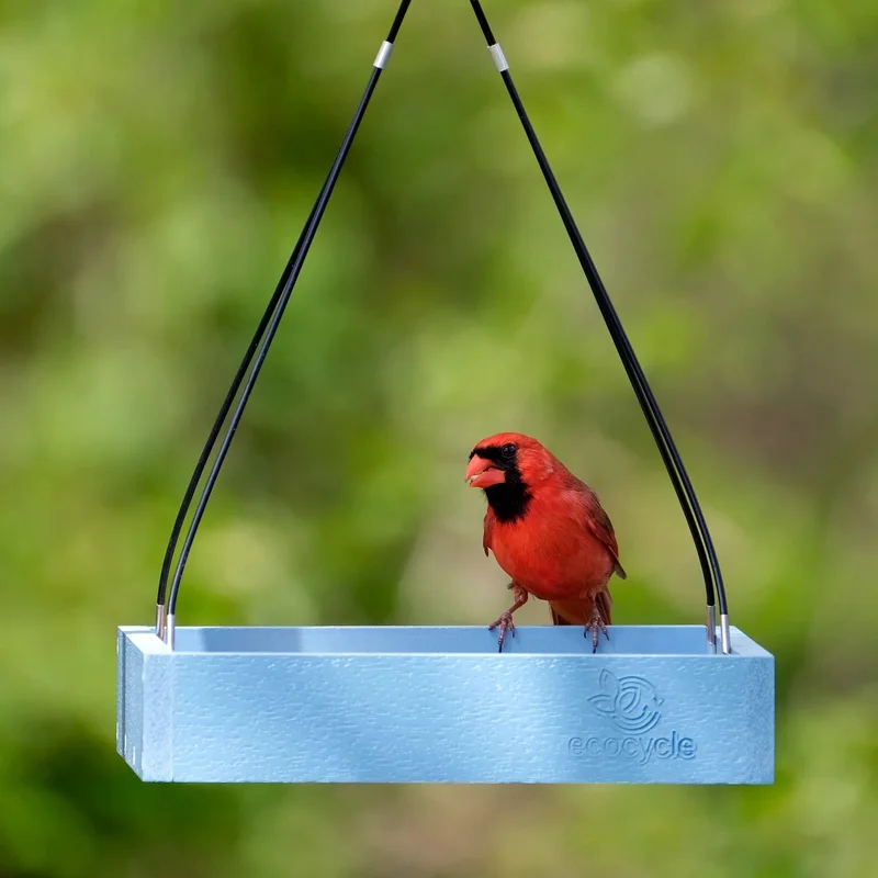 Nature's Way EcoCycle Perfect Picnic Recycled Plastic Bird Feeder Blue
