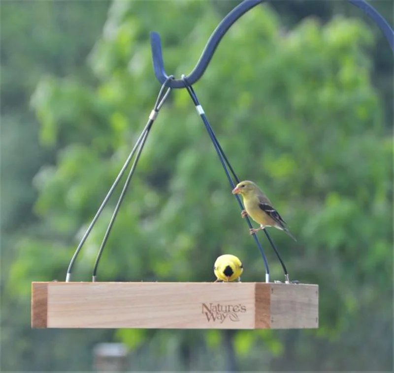 Nature's Way Hanging Platform Feeder Cedar