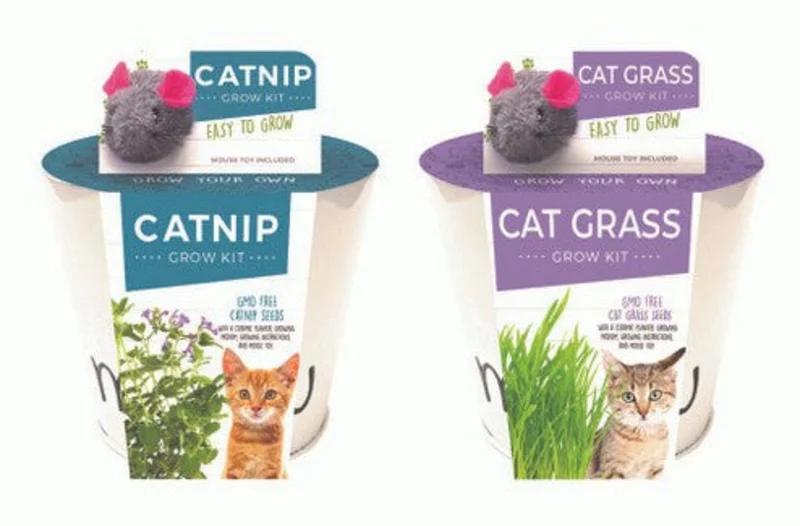 Netherland Bulb Catnip & Cat Grass Grow Kit