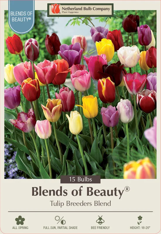 Netherland Bulb Company Blends of Beauty Tulip Breeders Blend