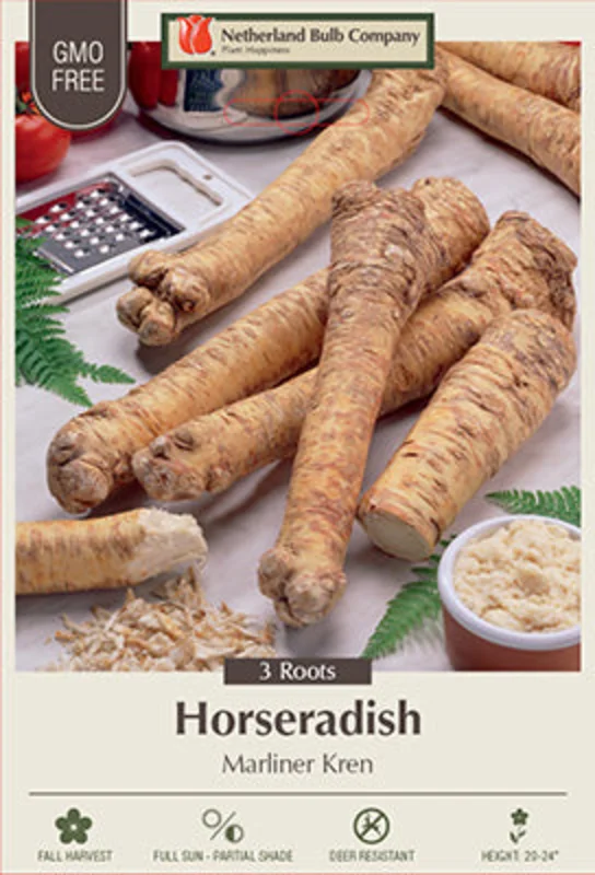 Netherland Bulb Company Horseradish