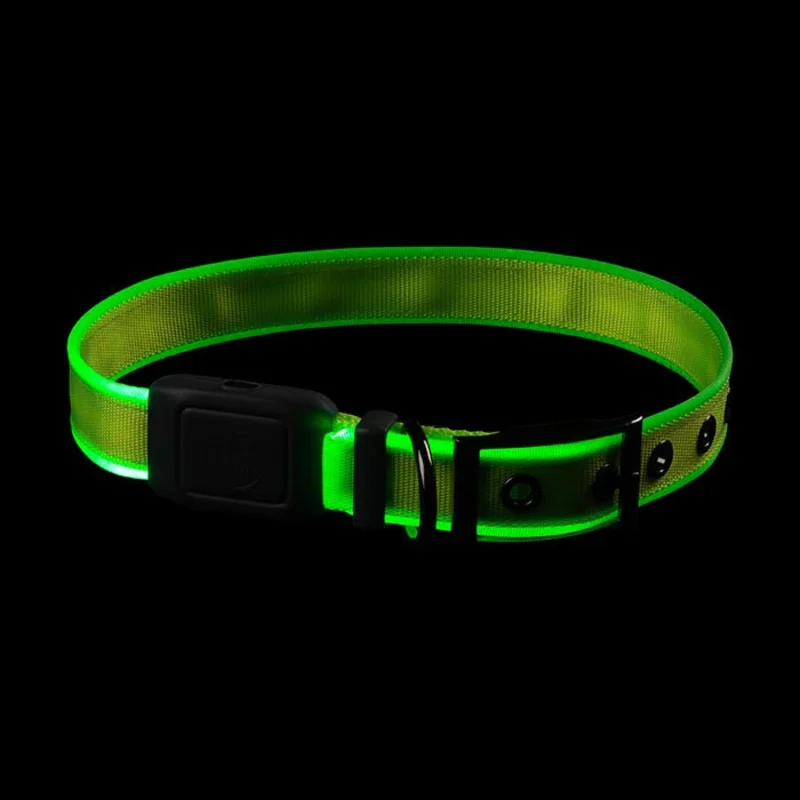 NiteDog Rechargeable LED Collar Green