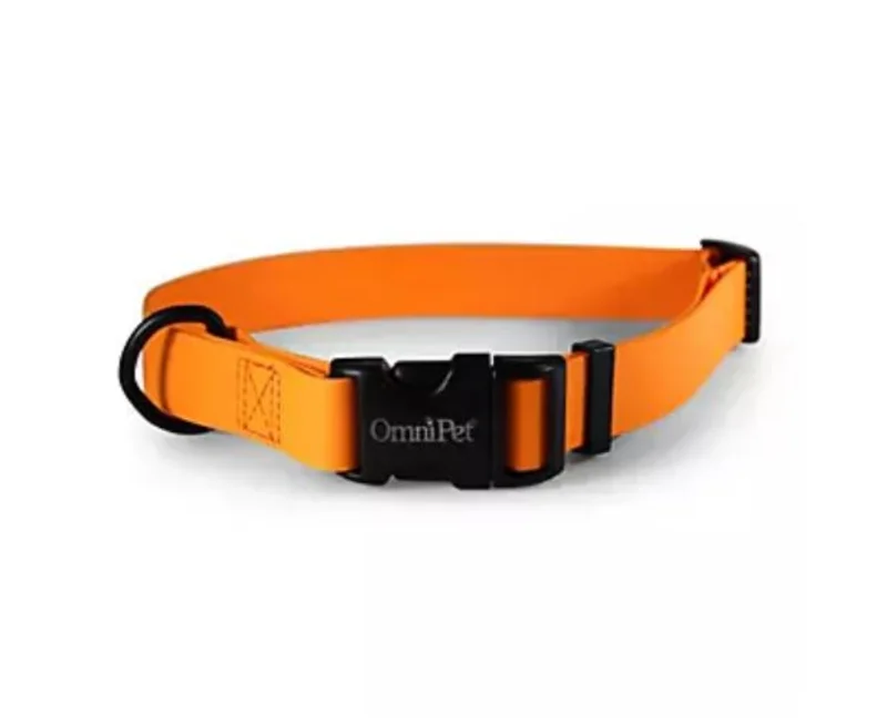 Omnipet Carnival Biothane Dog Collar Orange