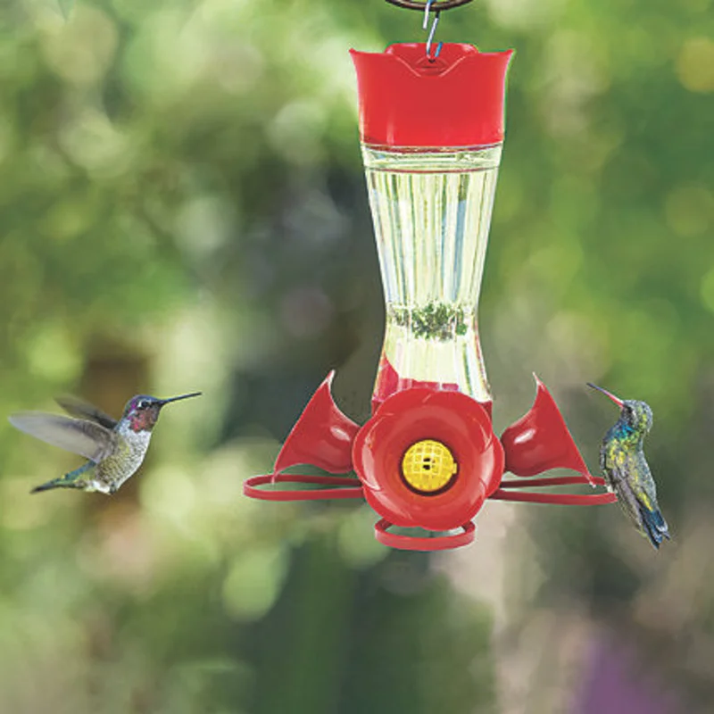 Perky-Pet Pinch-Waist Glass Hummingbird Feeder - 8 oz Nectar Capacity