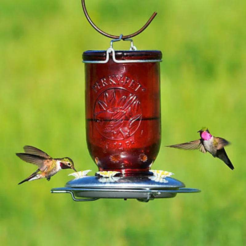 Perky-Pet Red Mason Jar Glass Hummingbird Feeder - 32 oz Nectar Capacity