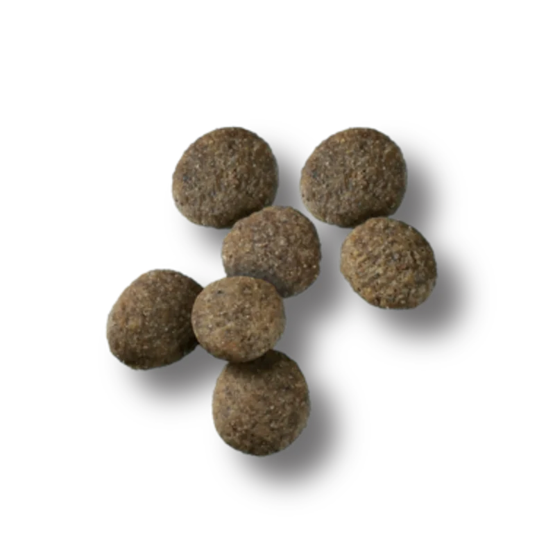 Pro Plan Sensitive Skin & Stomach Salmon & Rice Large Breed Probiotic Dry Puppy Food