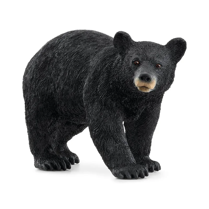 Schleich Wild Life American Black Bear Figurine