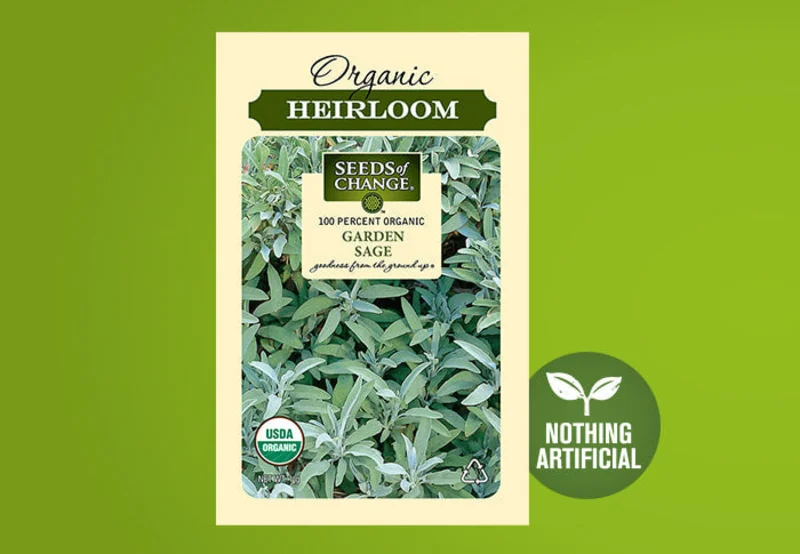 SEEDS OF CHANGE ORGANIC GARDEN SAGE SEEDS