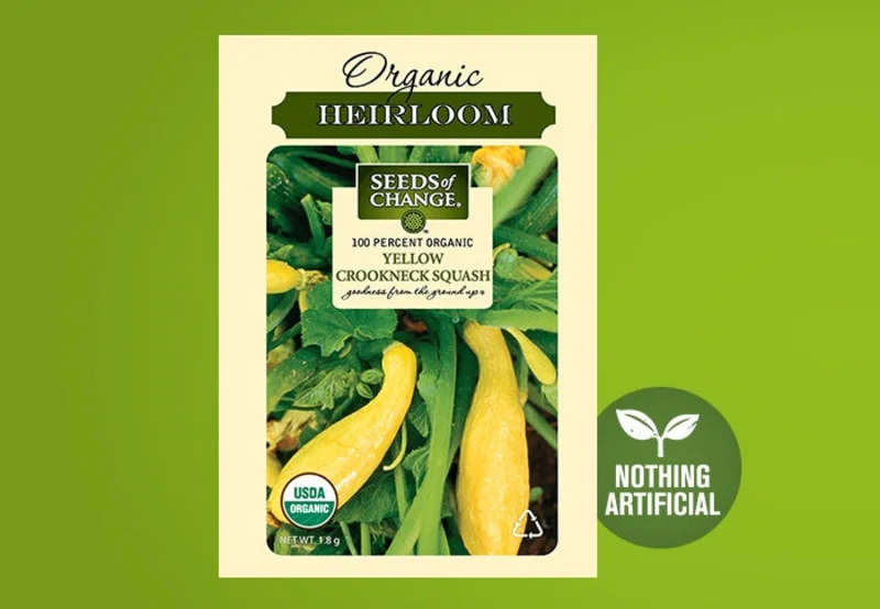 SEEDS OF CHANGE ORGANIC YELLOW CROOKNECK SQUASH SEEDS
