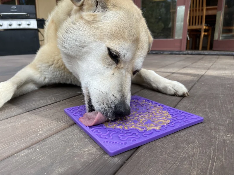 Soda Pup  Bone Design Lick Mat Purple